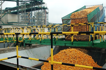 敦煌種業(yè)先鋒良種有限公司酒泉種子加工廠三、四期工程竣工投產(chǎn)