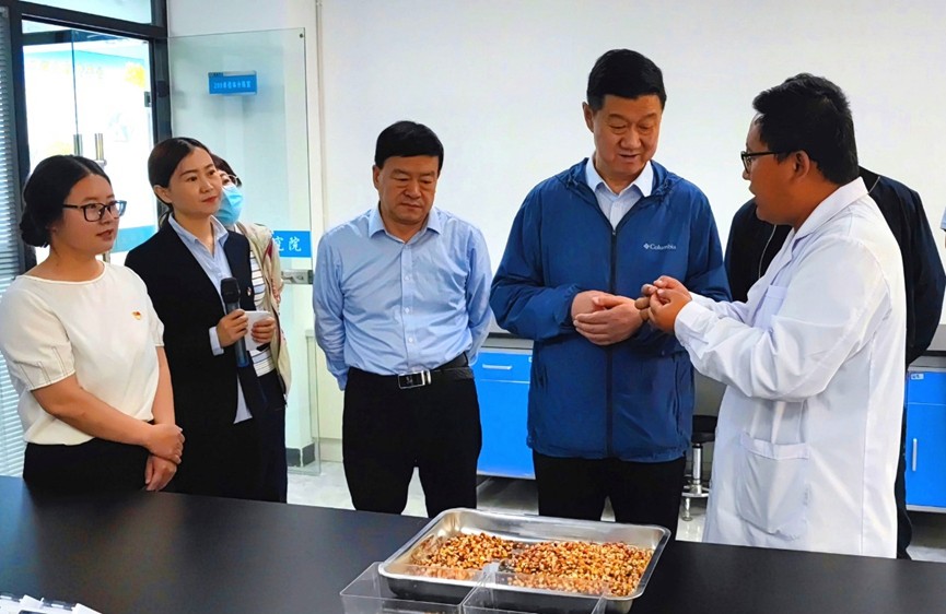 甘肅省地方金融監(jiān)管局、甘肅證監(jiān)局領(lǐng)導(dǎo)蒞臨敦煌種業(yè)調(diào)研指導(dǎo)